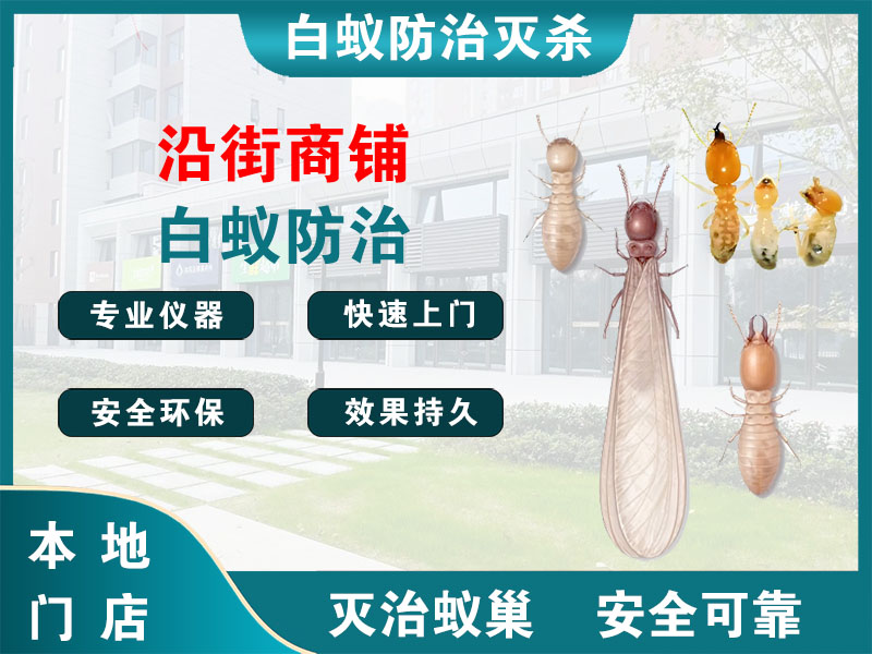 德清县沿街商铺白蚁防治