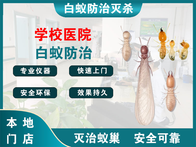 德清县学校医院白蚁防治