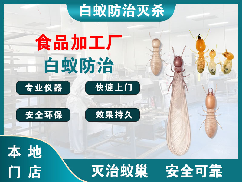 德清县食品加工厂白蚁防治