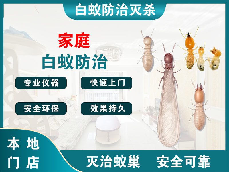 德清县家庭白蚁防治