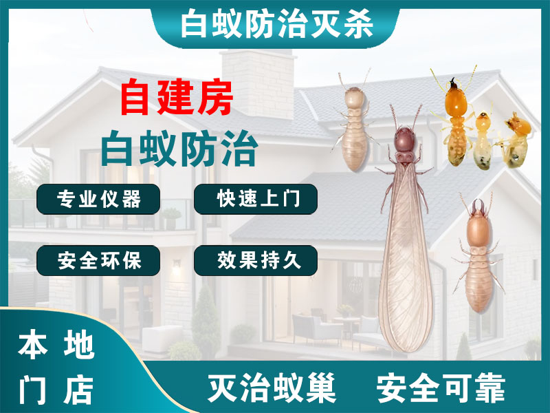 德清县自建房白蚁防治