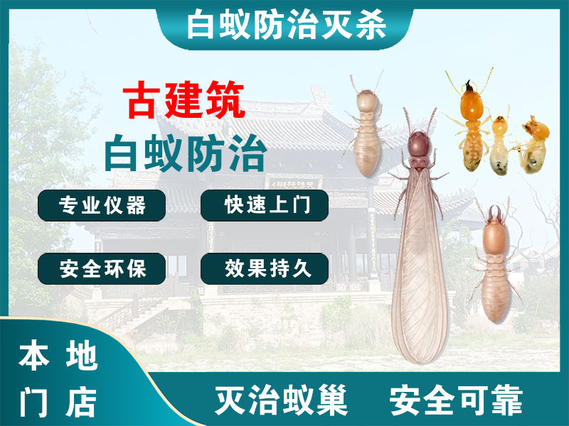 德清县古建筑白蚁防治