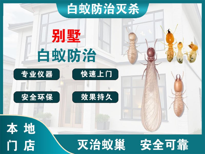 德清县别墅白蚁防治