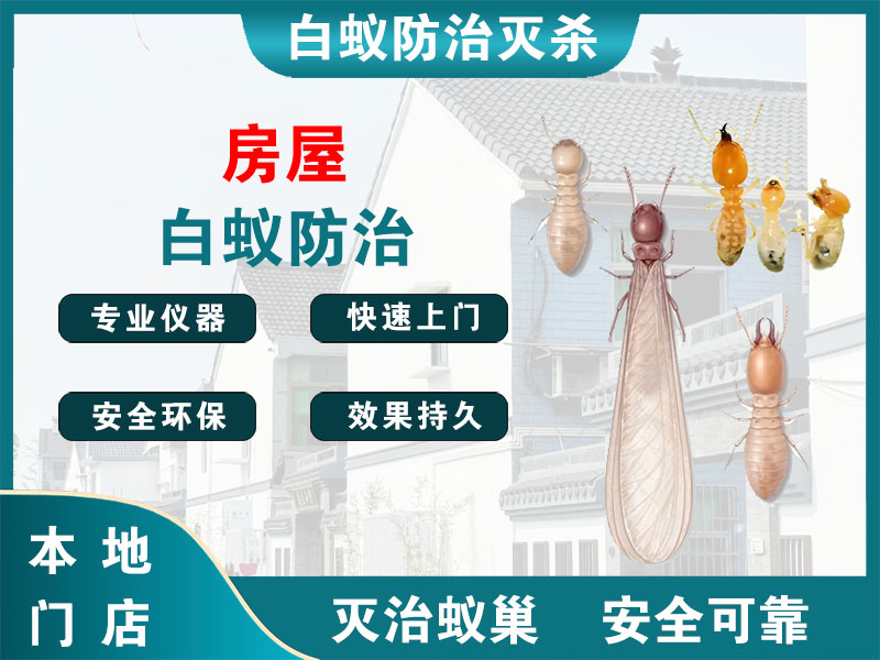 德清县房屋白蚁防治